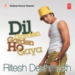 Dil Garden Garden Ho Gaya - Ritesh Deshmukh - Sajid Khan Song Download